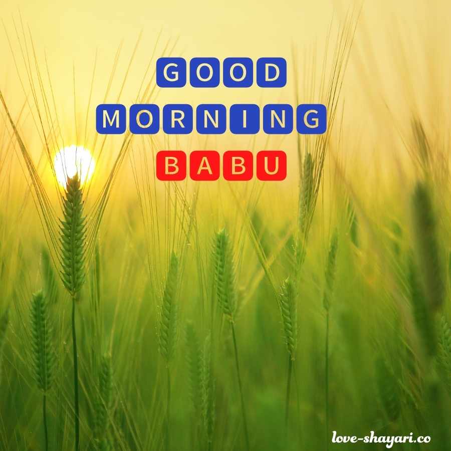 romantic good morning image for babu