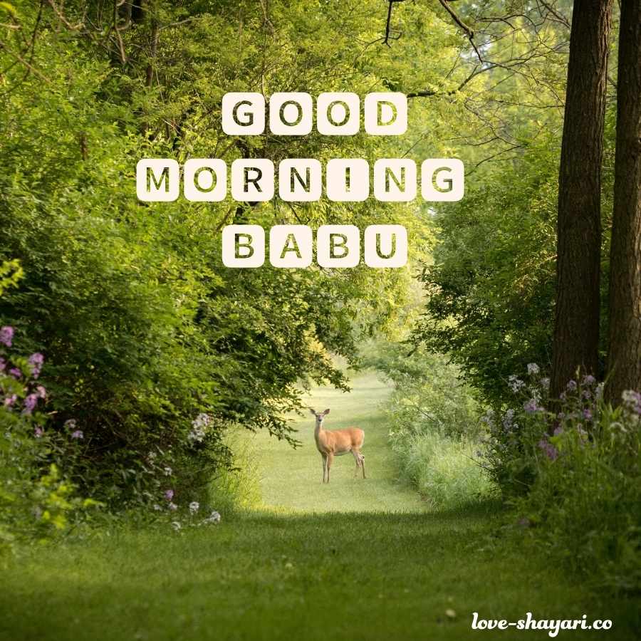 good morning love image for babu