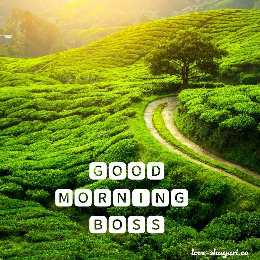 good morning have a nice day boss