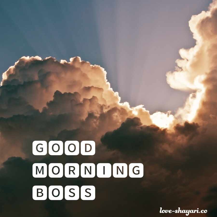 gud morning boss