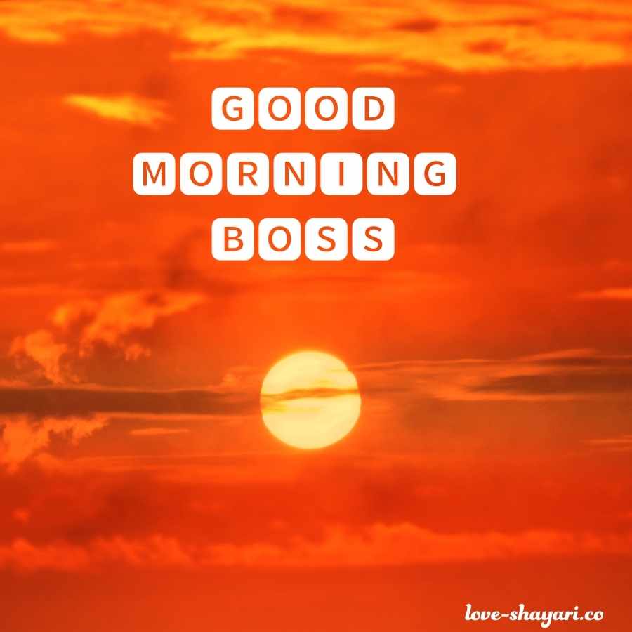 good morning greetings to boss