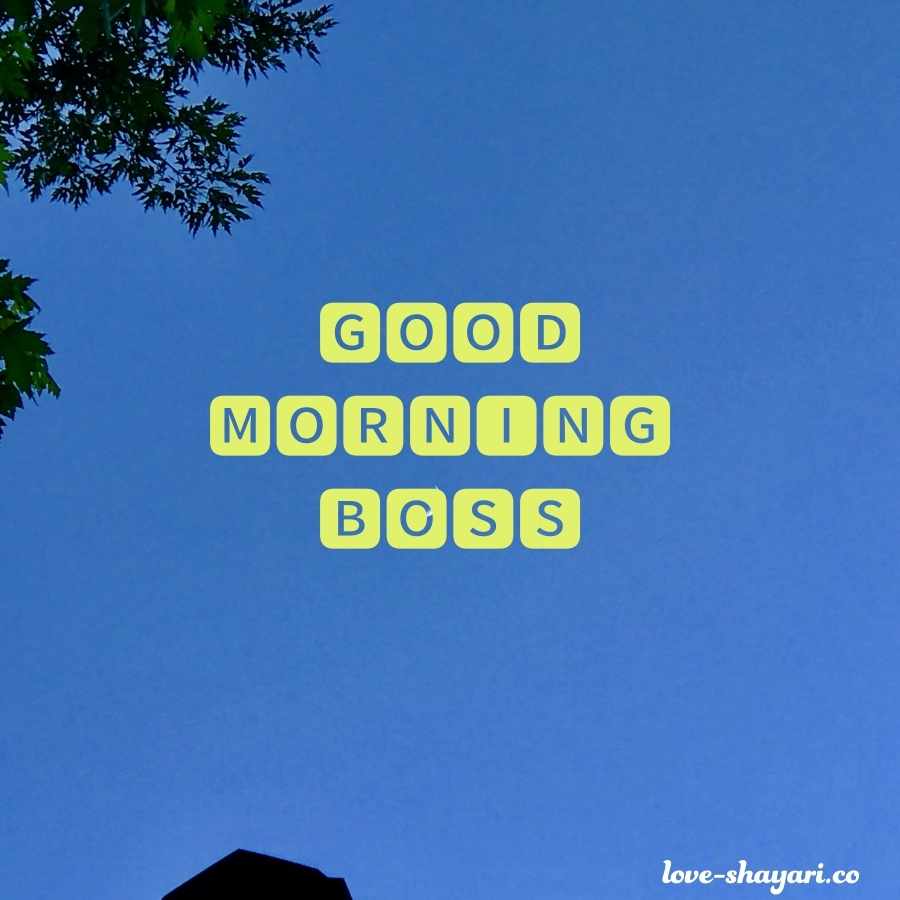 gud morning boss