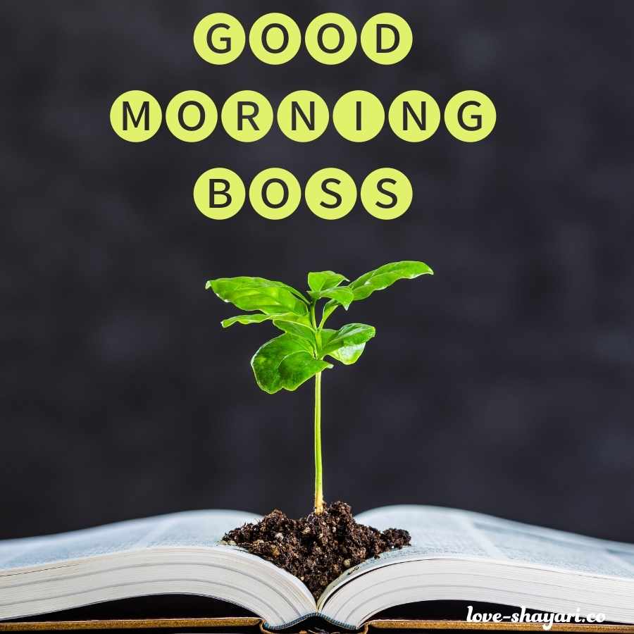 good morning image for boss