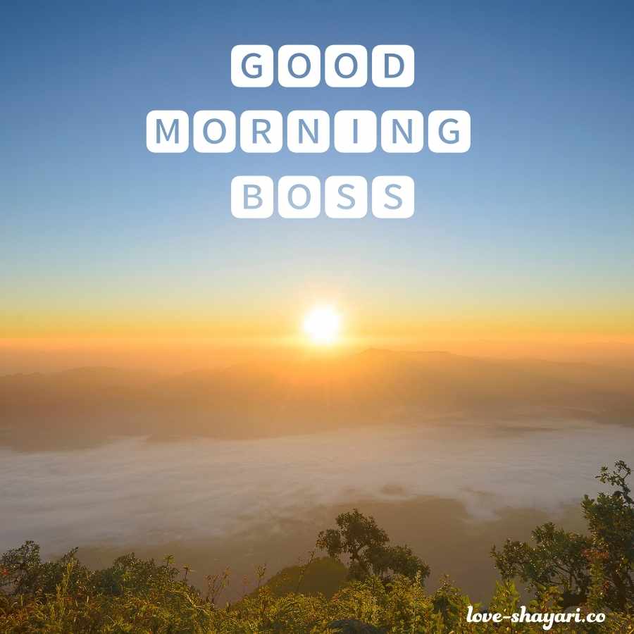 good morning boss image