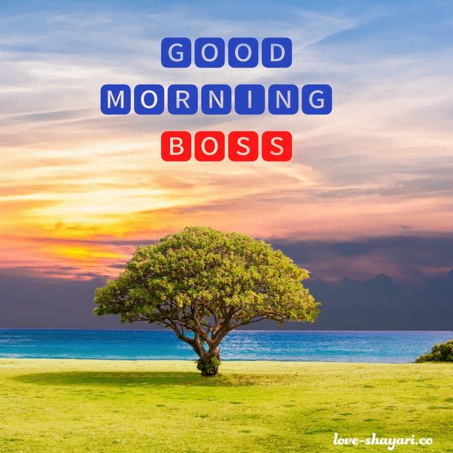 good morning you are great boss