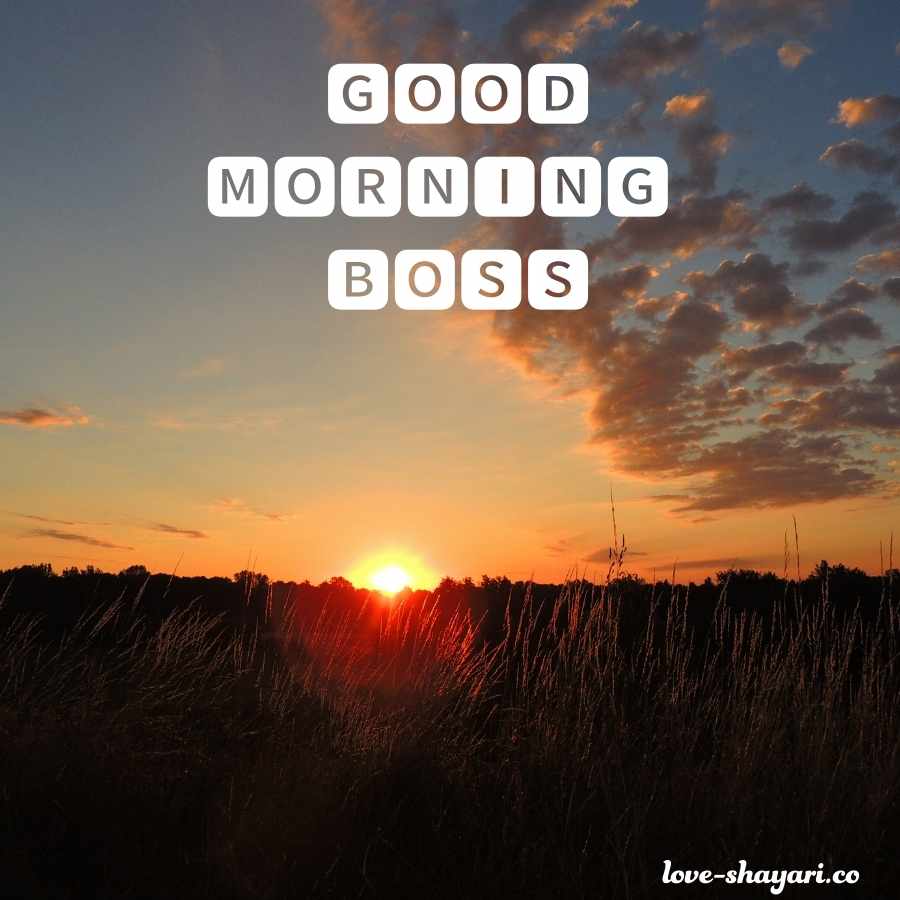 good morning greetings to boss