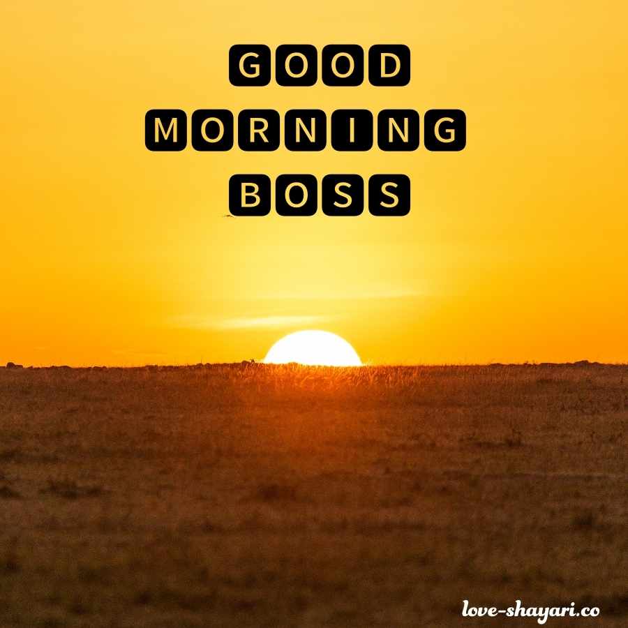 good morning for special boss