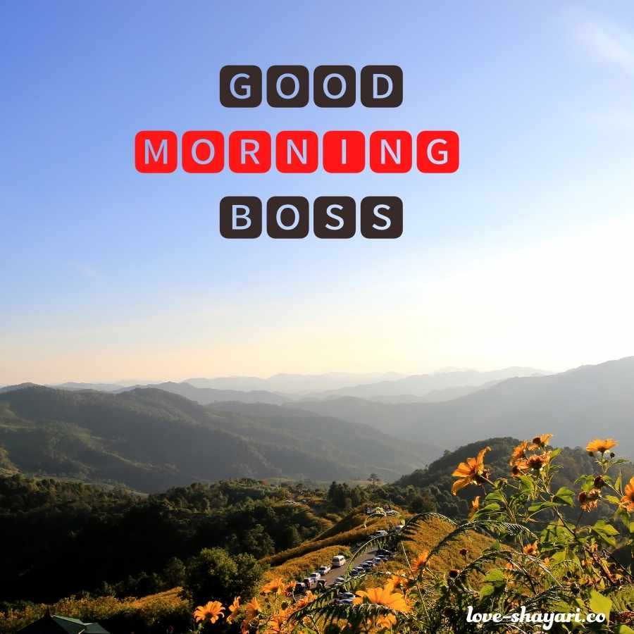 good morning images for boss