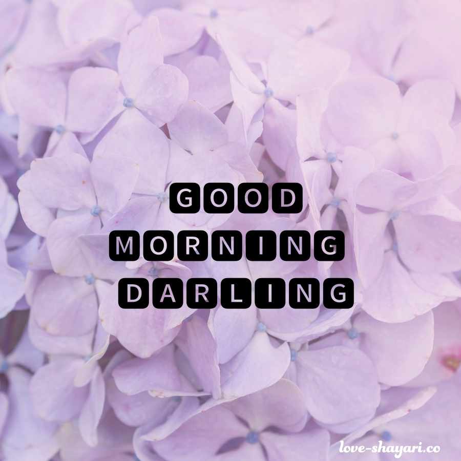 good morning darling i love you