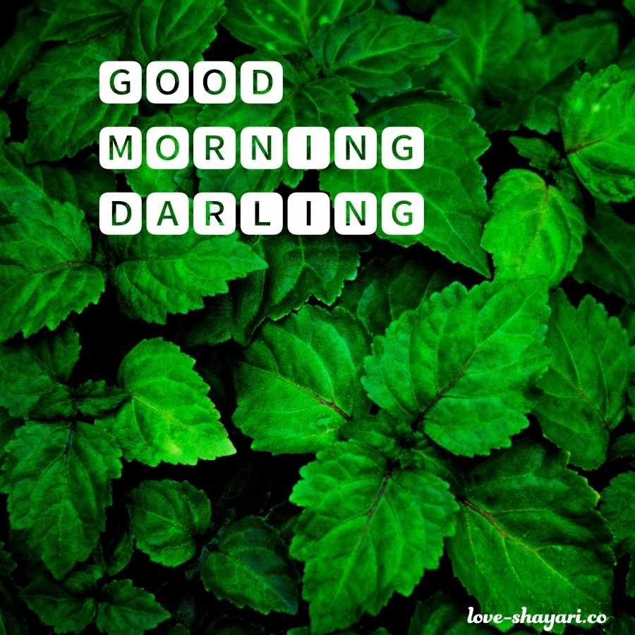 good morning darling images download