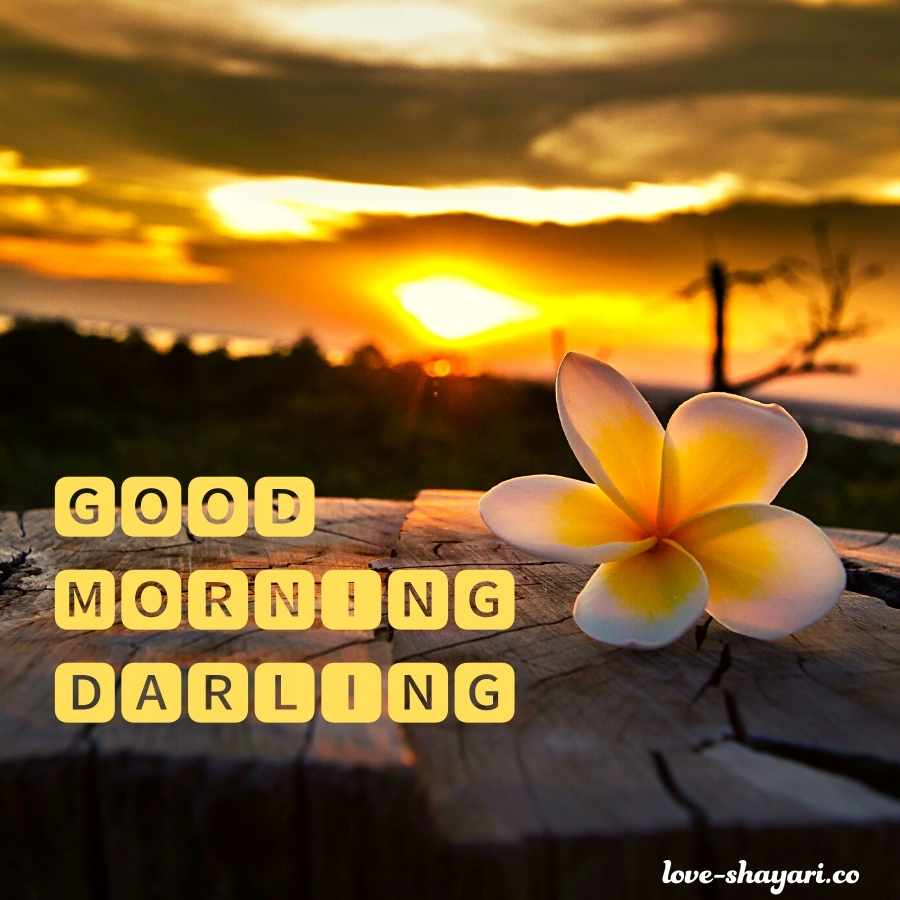 good morning darling i love u