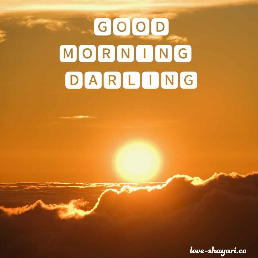 good morning darling hd images