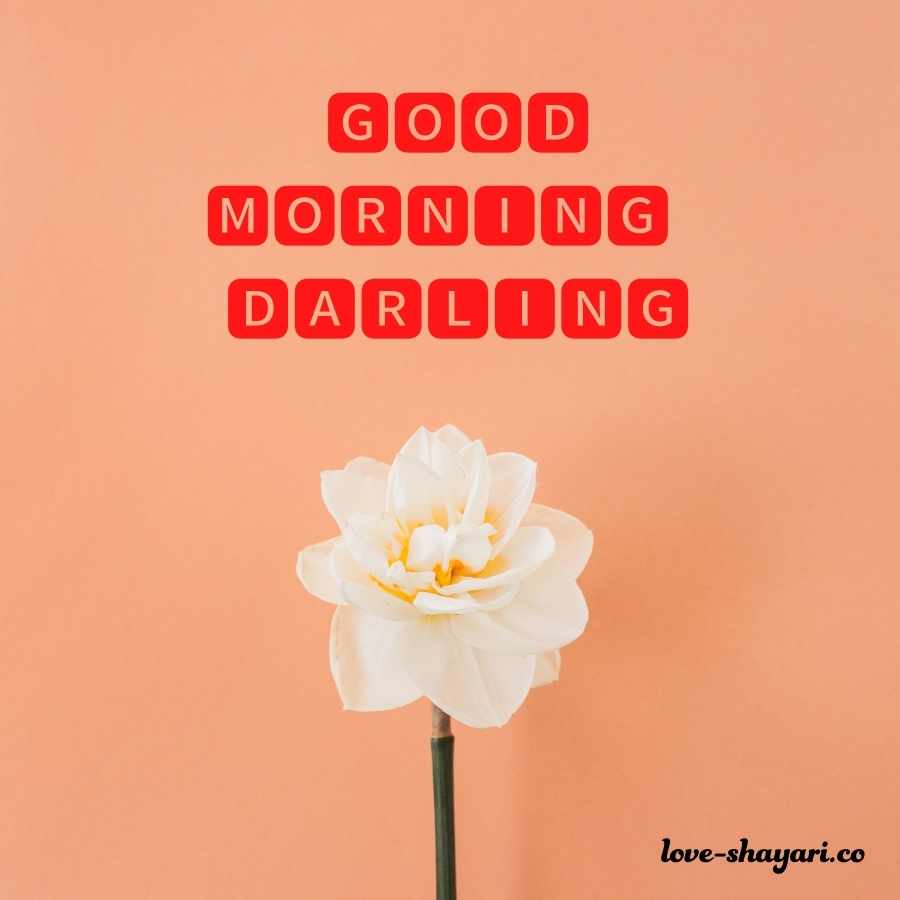 good morning darling romantic images
