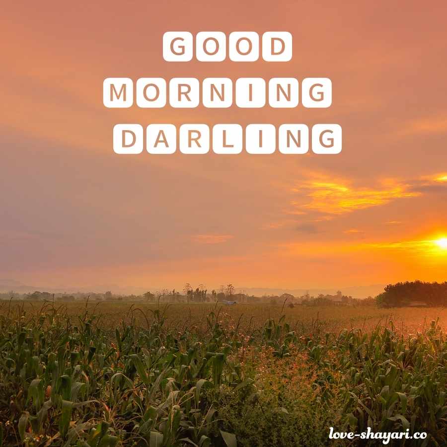 good morning images darling