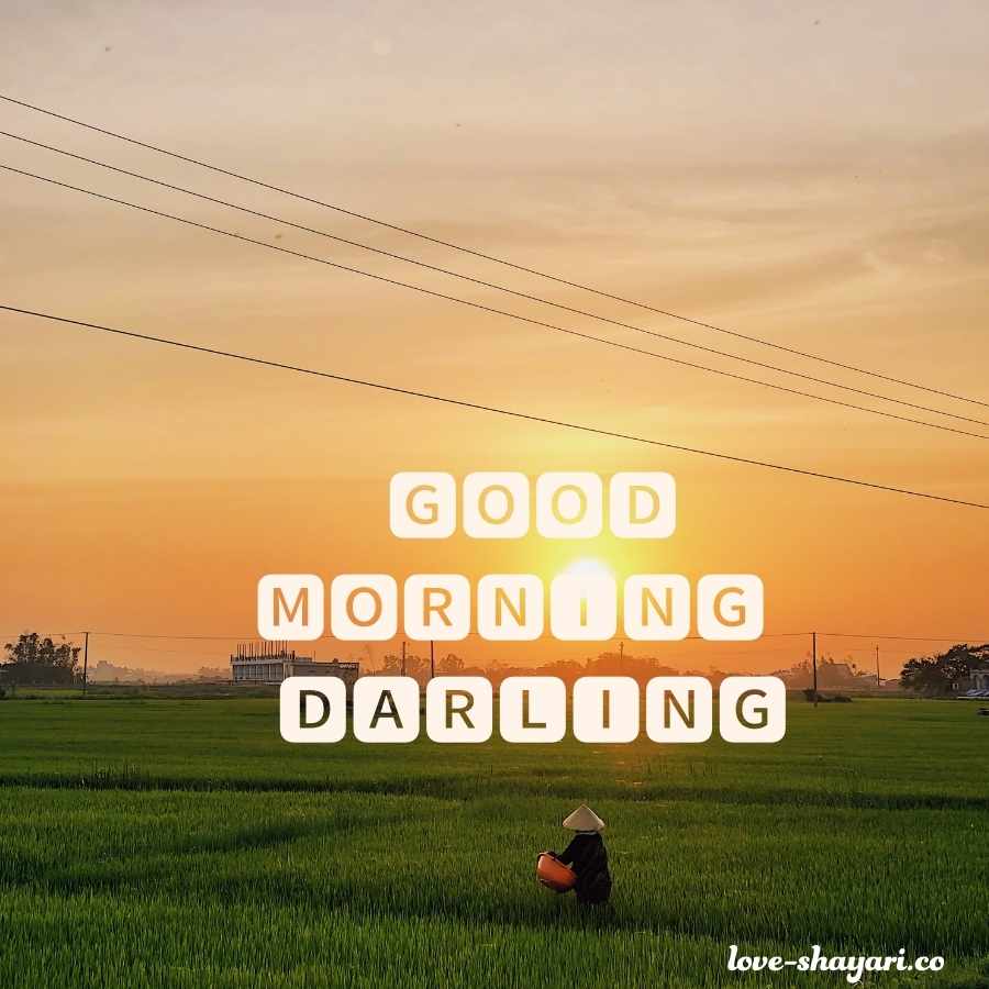 morning darling