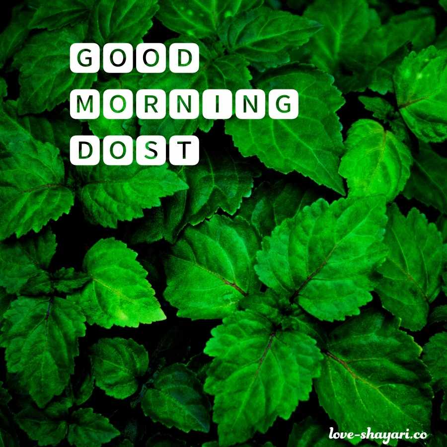 good morning dost download