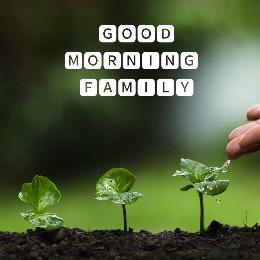 good morning sunday family