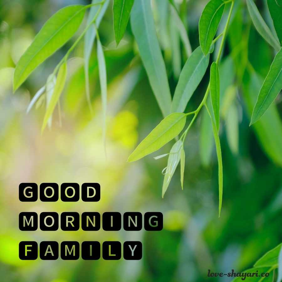 good morning my beautiful family