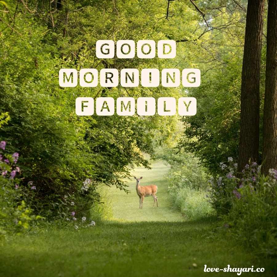 family good morning image