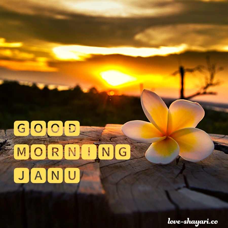 romantic good morning jaan