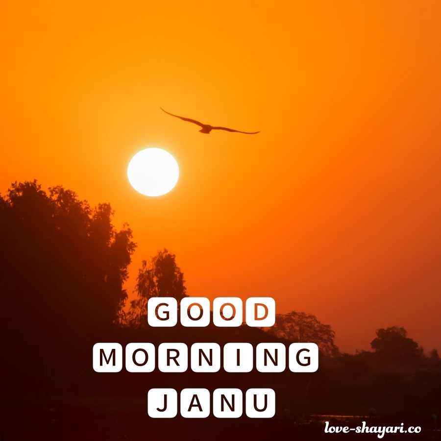 i love you meri janu good morning