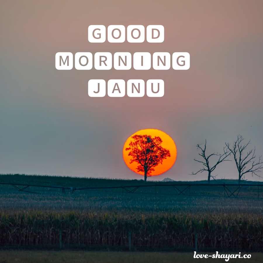 good morning meri janu wallpaper