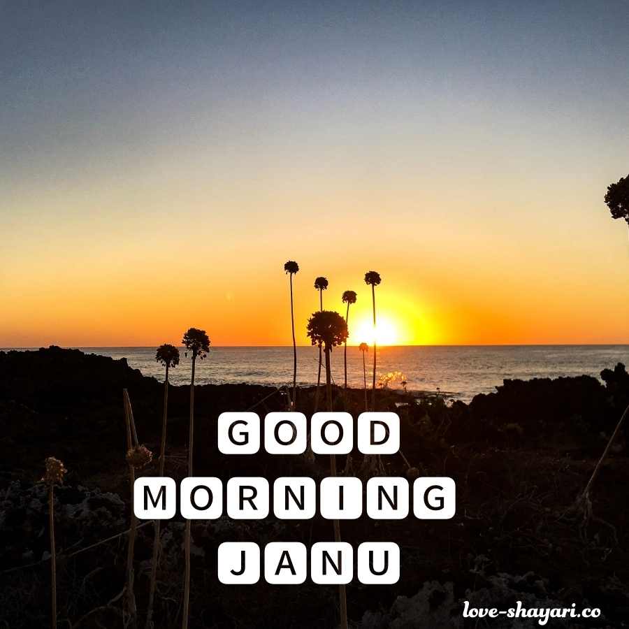 love good morning janu