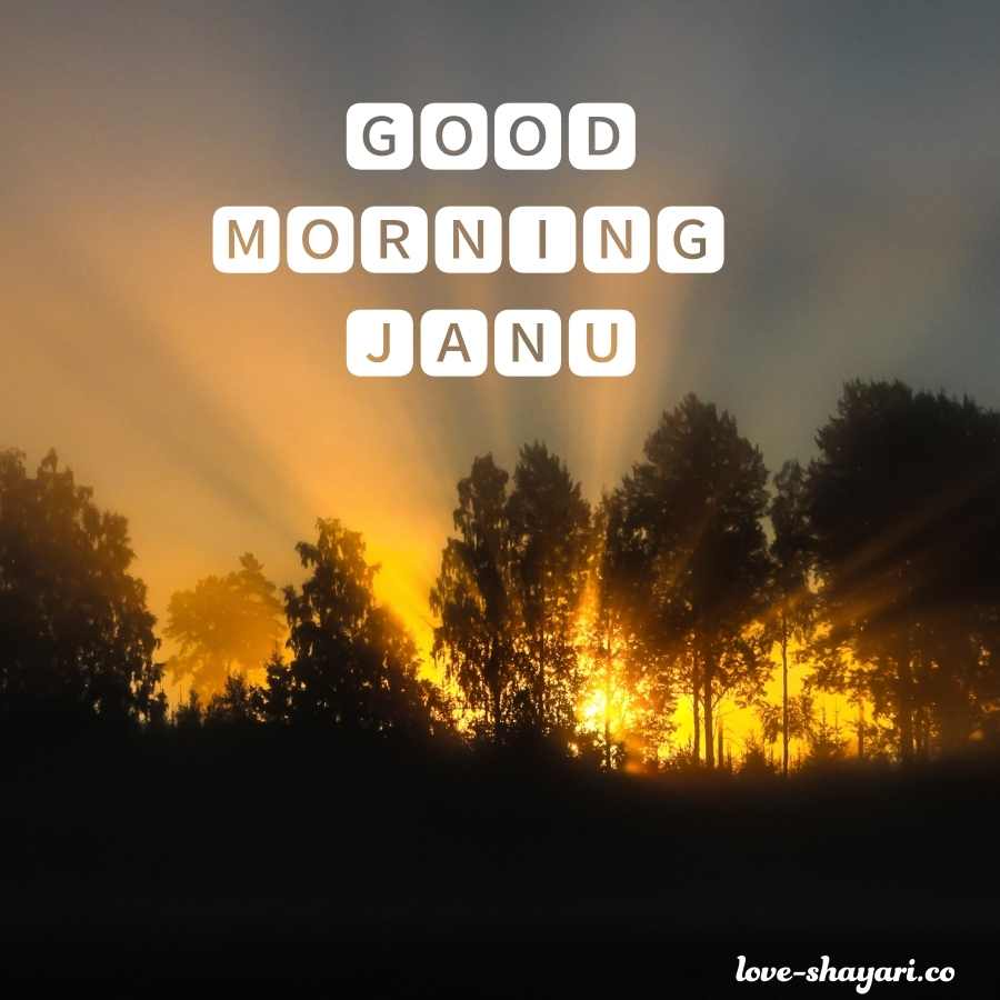 good morning meri janu pics