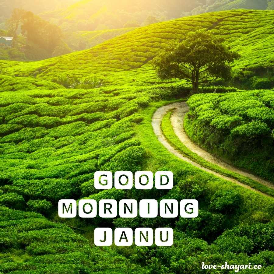 good morning meri janu image download