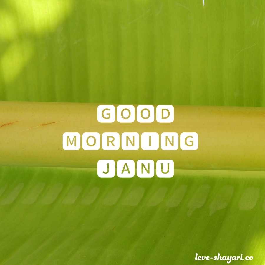 good morning janu status