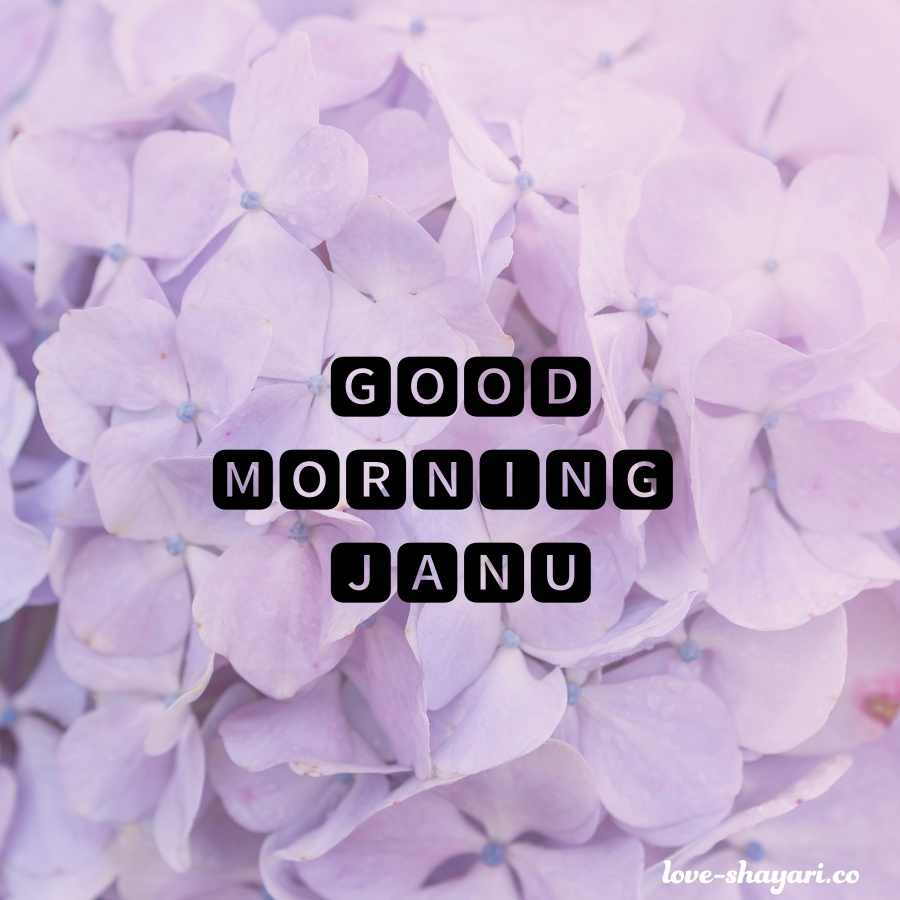 good morning my janu images
