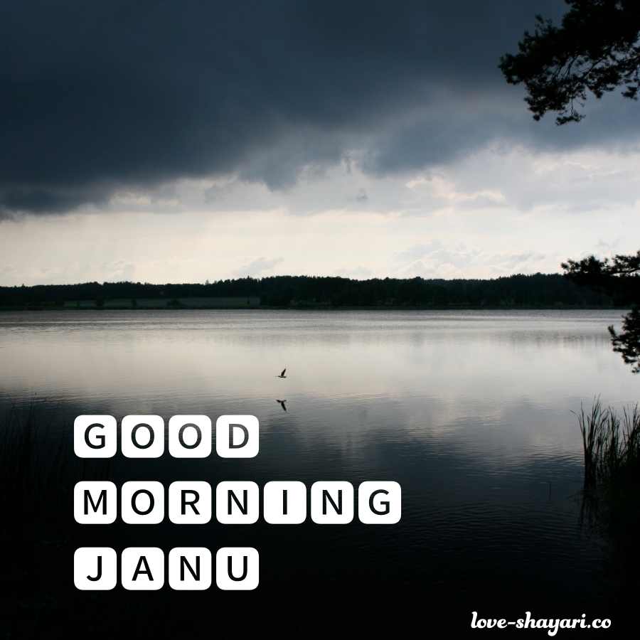 good morning janu love you