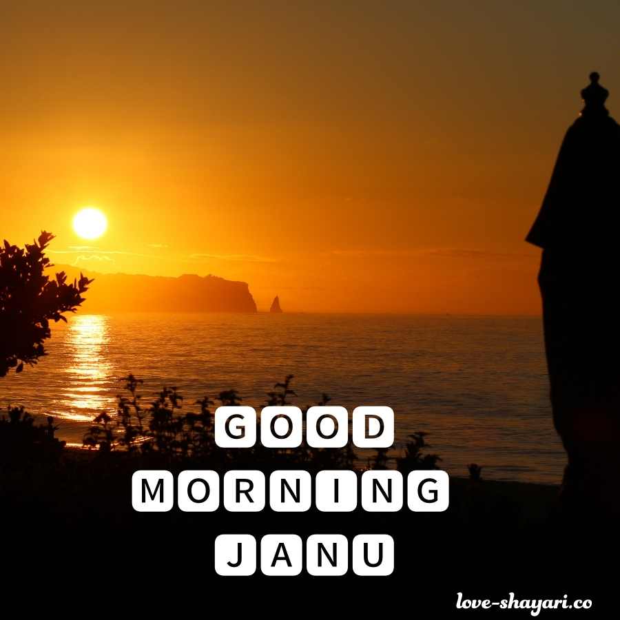 good morning janu