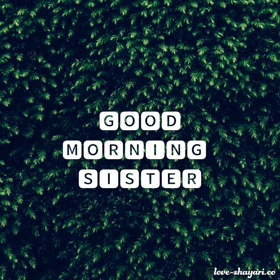 coffee good morning sister
