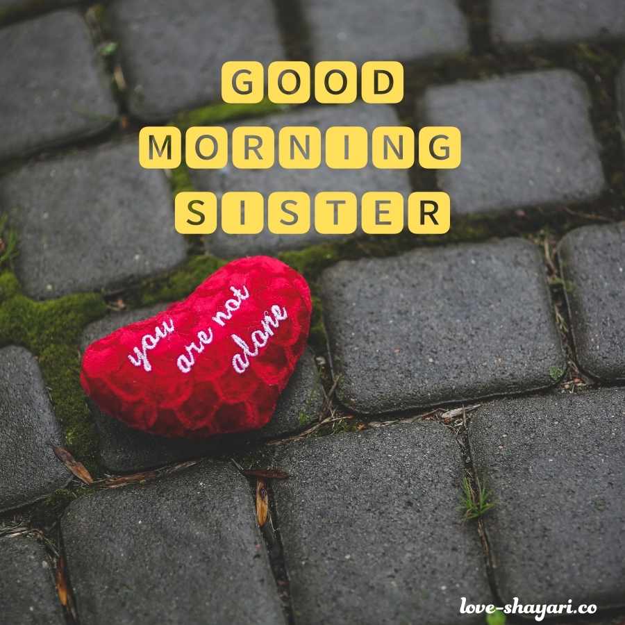good morning sister have a nice day