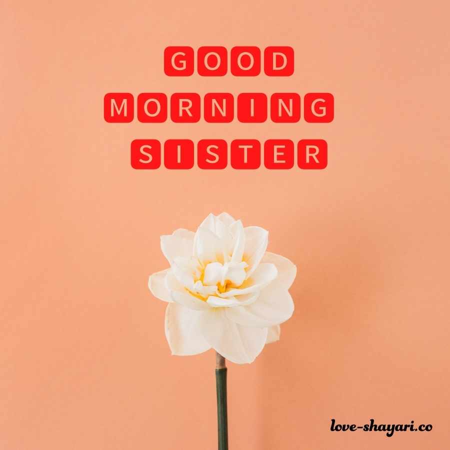 good morning my sister images