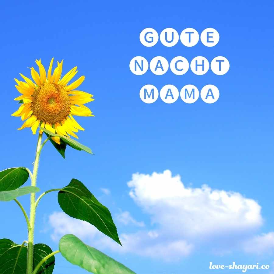 Die Liebe, die die Nacht erhellt - für Mama