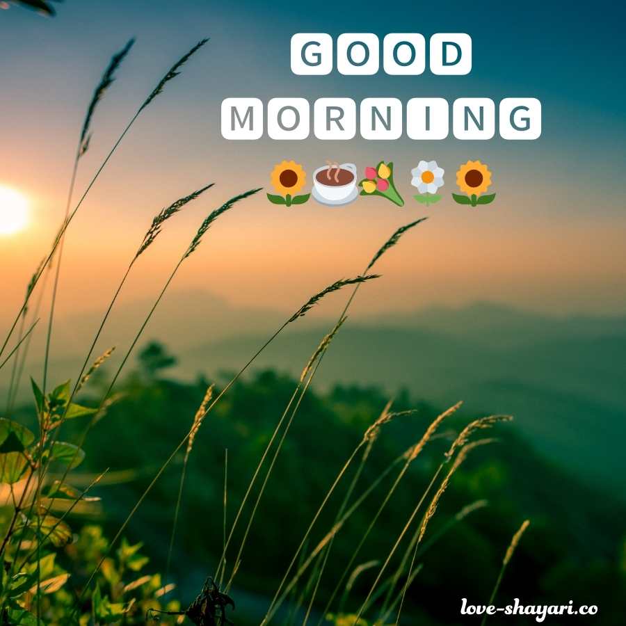 high quality good morning image new style