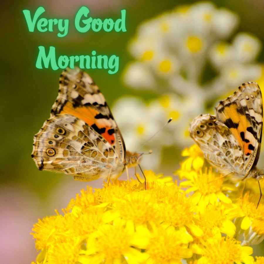 all good morning images