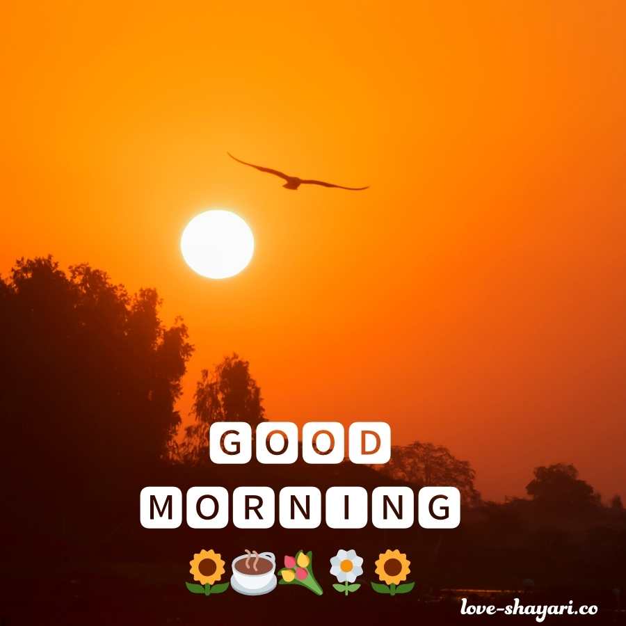 good morning sun image