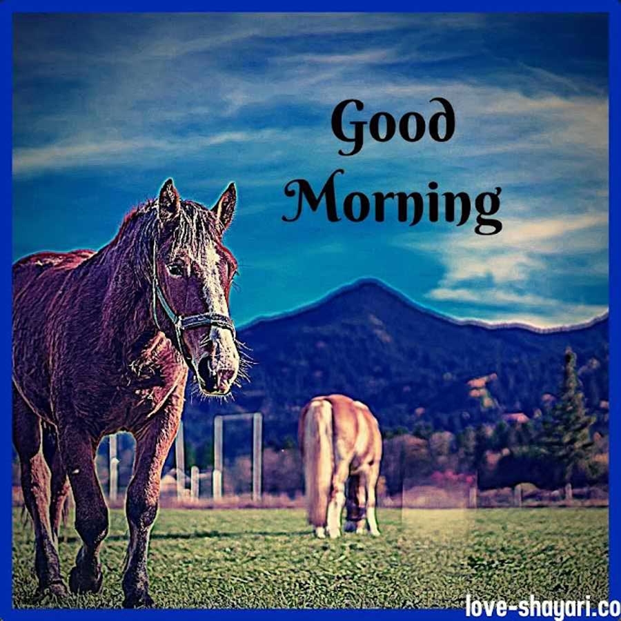 unique good morning images new style