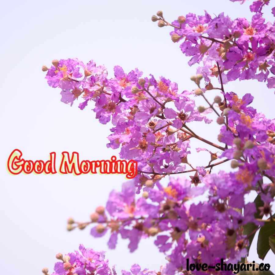 guruwar good morning images hd