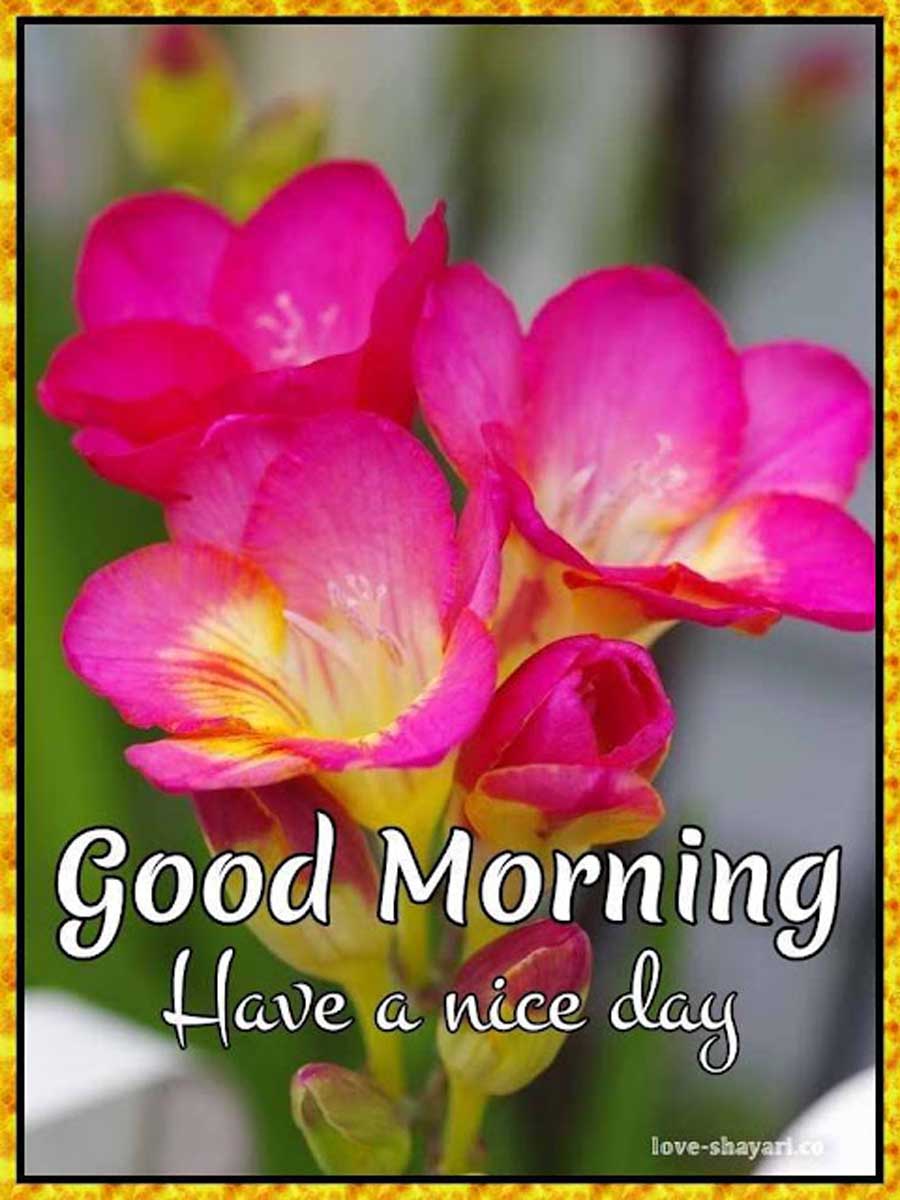 sharechat good morning images