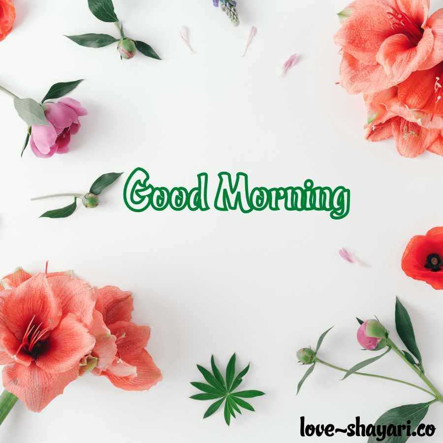 cute good morning pictures